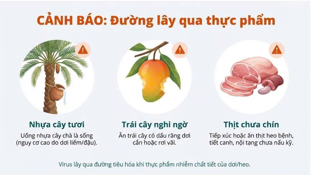 Những điều cần biết về bệnh do virus Nipah!